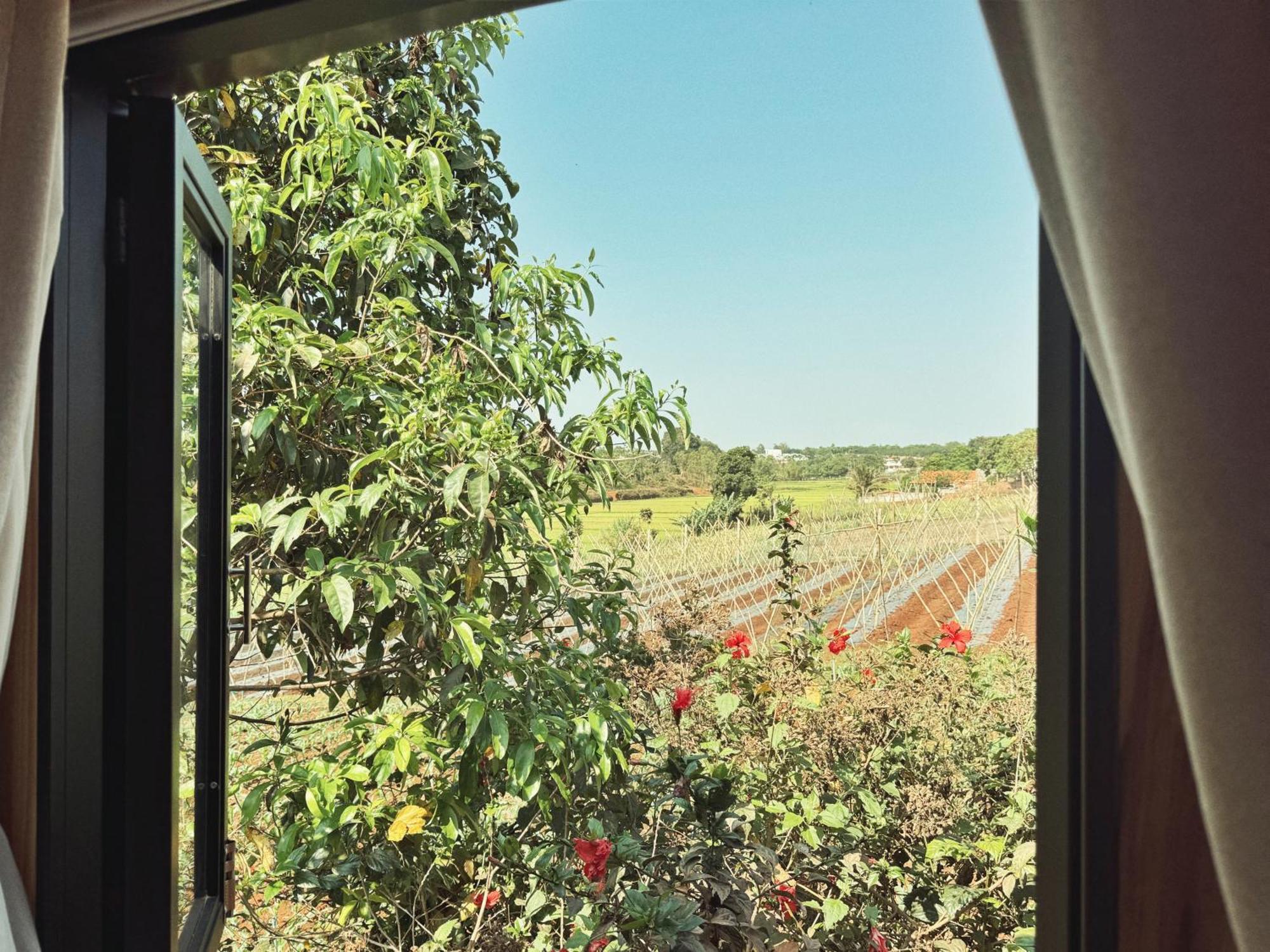 Xom Organic Farm Stay Плейку Экстерьер фото